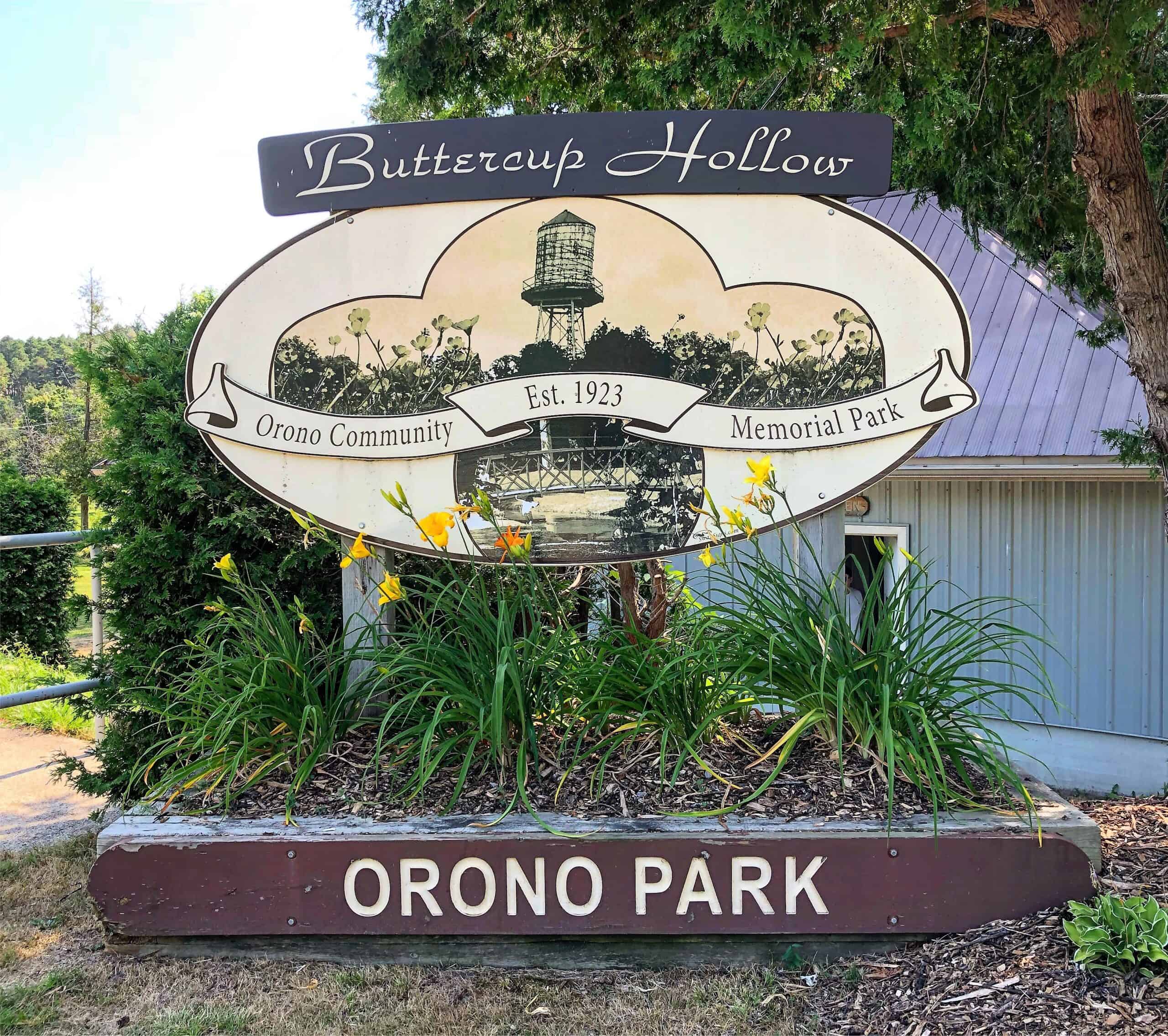 You are currently viewing Orono’s Buttercup Hollow Park turns 100 this year!